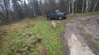Hunt 