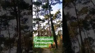 22 февраля 2024 г.