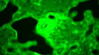 Alive Green Texture  ANIMATION  FREE FOOTAGE HD