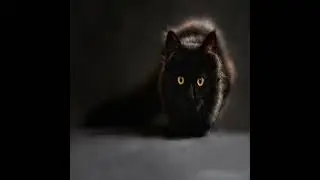 Сколько кошка может не ходить в туалет