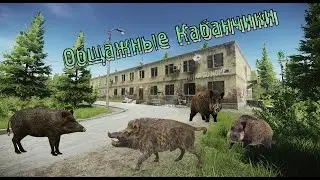 Escape from Tarkov: Общажные Кабанчики