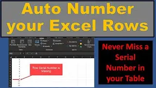 Auto Number your Excel Rows - Or Table Serial Numbers-(V050)