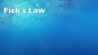 Fick's Law