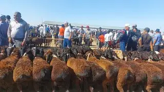 11.08.2024 КУЗИЛАРНИ ЗУРЛАРИ ЧИКДИ КАРШИ КАРВОН МОЛ БОЗОРИГА