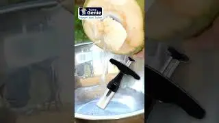 Coconut Opener Tool