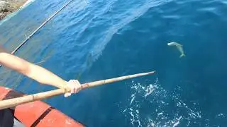 Sport King, Catalina Island, June 12, 2020