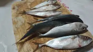 #fish