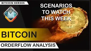 Bitcoin Technical & Orderflow Analysis - Data Based Scenarios Ahead + CPI Preparation