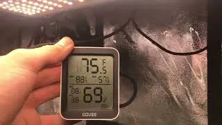Temperature and humidity for cannabis veg and flower