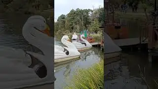 Lago Negro - Gramado - RS