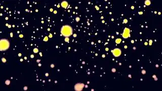 COIL - ( 2002, live in Fano, Italy) - 10 Backwards