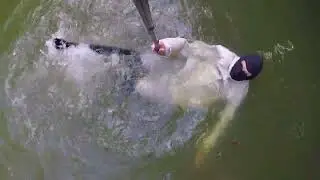 Pool.wet clothes boots.wetlook.Шкіряні чорні ботфорти ,штани,зимова куртка басейні воді.