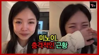 가수 미노이 광고 노쇼?