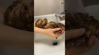 hora do banho