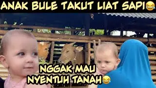 SUASANA PAGI HARI DI KAMPUNG HALAMAN || ANAK BULE SUKA LIAT SAPI😅