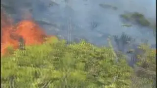 RIO DE CONTAS- BA/QUEIMADAS