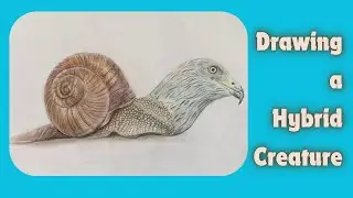 Drawing Hybrid Creatures