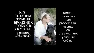 Типикина Е.Н. Правда об отравлениях уличных собак