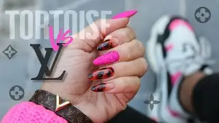 𝕋𝕠𝕣𝕥𝕠𝕚𝕤𝕖 𝕊𝕙𝕖𝕝𝕝  & ℒℴ𝓊𝒾𝓈 𝒱𝓊𝒾𝓉𝓉ℴ𝓃 💥