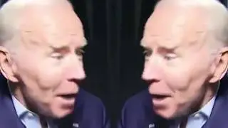 Why why why why why (Biden REMIX) [1 hour loop]