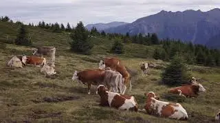 LINDERALM - SOUTH TYROL