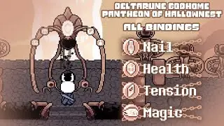Deltarune Godhome Pantheon Of Hallownest ALL BINDINGS COMPLETED