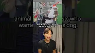They Thought Everyone Would Agree With Them 