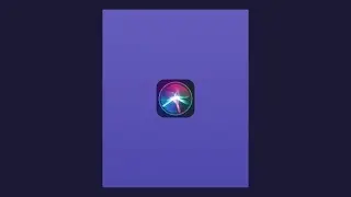 Siri Animation