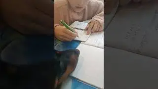 23 мая 2024 г.