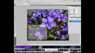 Tutorial : Come fare uno ScrollBox con Photoshop
