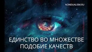 Единство во множестве. Подобие качеств.