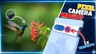 Google Pixel 7 Pro Camera Review in 2025 : The $200 Camera King??