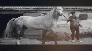 Кливленд