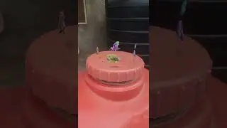camera tracking in blender🐠#vfx #3d #blender3d #amazingakara