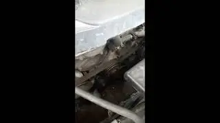 Отзыв владельца автомобиля Infiniti