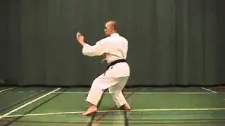 17 KATA SHORIN-RYU Matsubayashi Wankan