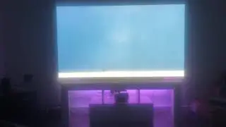 LG C9 OLED 65 inch with Glass RGB TV Stand