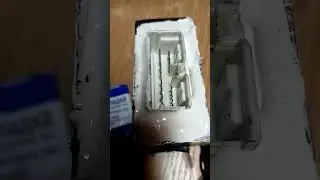 герметик казанский.