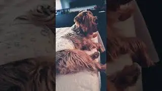 Lucky...titi