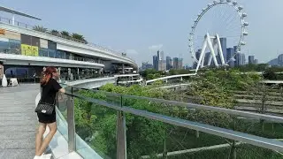 深圳公干之旅Part 7 Fast Track