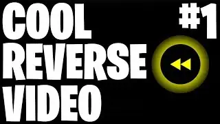 Cool Reverse Video # 1