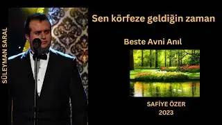 Sen körfeze geldiğin zaman - Süleyman Saral