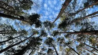 27.10.2024. Тайны Царствия Божия