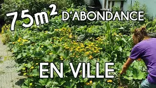 Visite du potager Perma1 - Juillet 2023