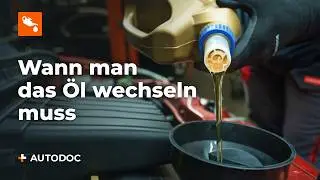 When, why, and how to change engine oil | Tips from AUTODOC