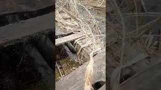 ВЕДЬМАК 3 unReal 5