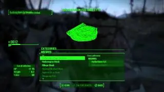Fallout 4 Live PS4 Broadcast  (Full HD)