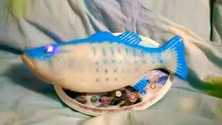 Интерактивная рыбка и кошка в шоке)))