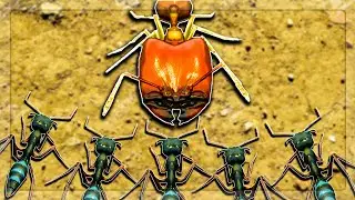 I Used Habit To Beat Trap Jaw Ants VS Big Headed Ants in Empires Of The Undergrowth