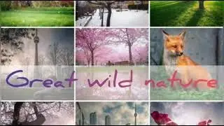 Save nature, Save future!/Сохрани природу, сохрани будущее!